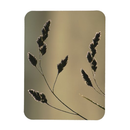 Magnet Flexible Oreille d'herbe humide (Vertical)