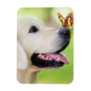 Magnet Flexible Oreiller À Lancer Du Labrador Et Du Papillon