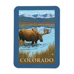 Magnet Flexible Orignaux DrinkingColorado