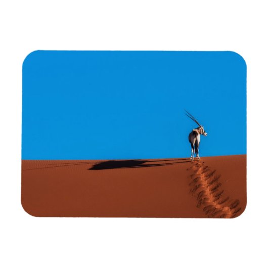 Magnet Flexible Oryx Antelope dans le désert du Namib (Horizontal)