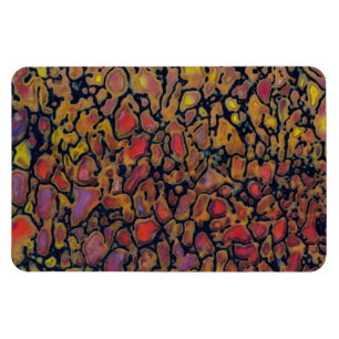 Magnet Flexible Os de dinosaure à motifs