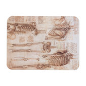 Magnet Flexible Os de squelette de l'anatomie humaine par Léonard (Horizontal)