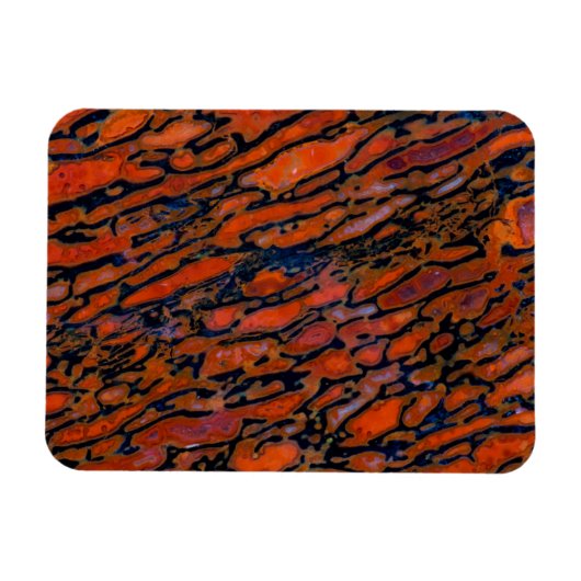 Magnet Flexible Os fossile de dinosaure pétrifié rouge (Horizontal)