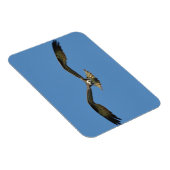 Magnet Flexible Osprey Flying ! (Côté Droit)