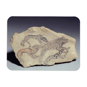 Magnet Flexible Ostracon depicting a dog chasing a hyena (limeston