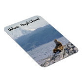 Magnet Flexible Otaries dans le canal beagle - Argentine (Côté Droit)