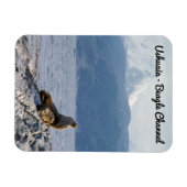 Magnet Flexible Otaries dans le canal beagle - Argentine (Horizontal)