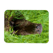 Magnet Flexible Otter (Horizontal)