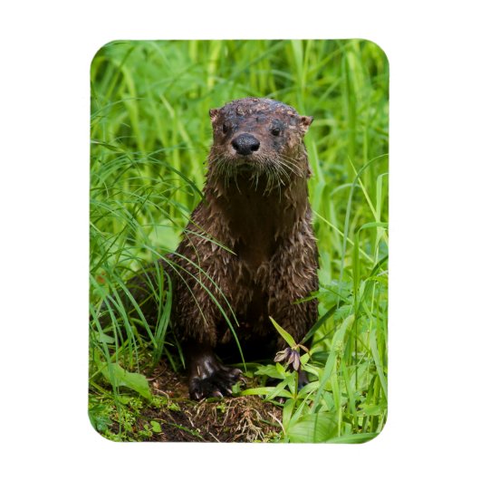 Magnet Flexible Otter (Vertical)