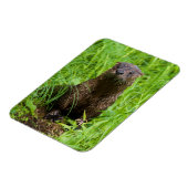 Magnet Flexible Otter (Côté Gauche)