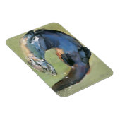 Magnet Flexible Otter 2003 (Côté Droit)