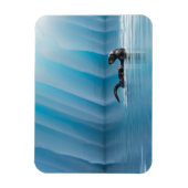 Magnet Flexible Otter de mer joueuse (Vertical)