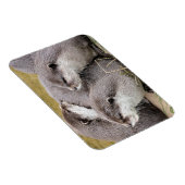 MAGNET FLEXIBLE OTTERS COUPÉS (Côté Droit)