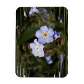 Magnet Flexible Oublie-moi pas les fleurs (Vertical)