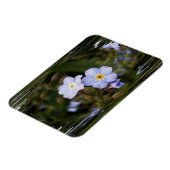 Magnet Flexible Oublie-moi pas les fleurs (Côté Gauche)