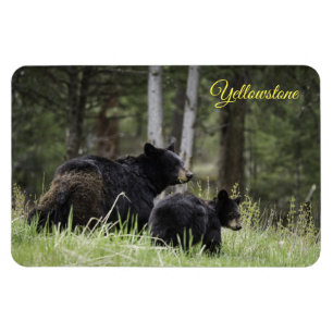 Magnet Flexible Ours Aimant-Noir de Yellowstone