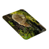 Magnet Flexible Ours blanc esprit (Côté Droit)