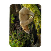 Magnet Flexible Ours blanc esprit (Vertical)