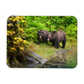 Magnet Flexible Ours Brown & Cube | Hyder, Alaska (Horizontal)