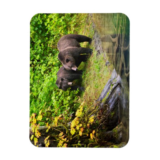 Magnet Flexible Ours Brown & Cube | Hyder, Alaska (Vertical)