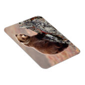 Magnet Flexible Ours Brown Denali (Côté Droit)