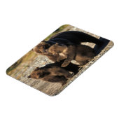Magnet Flexible ours Brown, grizzli, semer avec des oursons sur la (Côté Gauche)