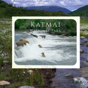 Magnet Flexible Ours Brown Pêche Katmai Magnat du parc national