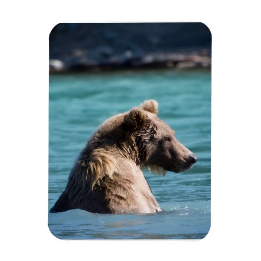 Magnet Flexible Ours Brun Majestueux d'Alaska (Vertical)