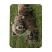 Magnet Flexible Ours bruns oursons câlinant leur mère (Vertical)