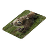Magnet Flexible Ours bruns oursons câlinant leur mère (Côté Gauche)