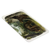 Magnet Flexible Ours de cannelle des Quadrupeds d'Audubon (Côté Droit)