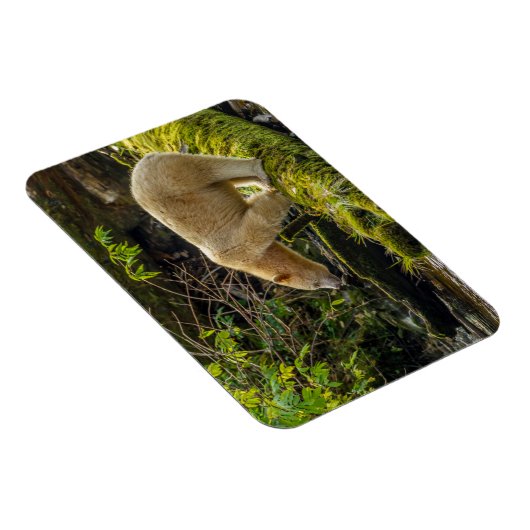 Magnet Flexible Ours d'esprit blanc (Côté Droit)