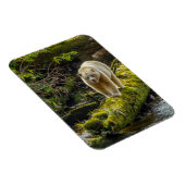 Magnet Flexible Ours d'esprit blanc | Colombie-Britannique, Canada (Côté Droit)