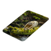 Magnet Flexible Ours d'esprit blanc | Colombie-Britannique, Canada (Côté Gauche)