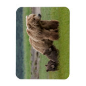 Magnet Flexible Ours grizzly mère avec deux oursons (Vertical)
