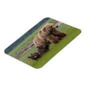 Magnet Flexible Ours grizzly mère avec deux oursons (Côté Gauche)