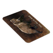 Magnet Flexible Ours Kodiak Sur Fourrure De Caribou (Côté Droit)