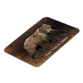 Magnet Flexible Ours Kodiak Sur Fourrure De Caribou (Côté Gauche)