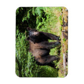 Magnet Flexible Ours noir Alpha (Vertical)