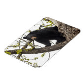 Magnet Flexible Ours noir Escalade (Côté Gauche)