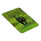 Magnet Flexible Ours noir jardin (Côté Droit)