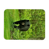 Magnet Flexible Ours noir jardin (Horizontal)