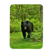 Magnet Flexible Ours noir jardin (Vertical)
