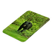 Magnet Flexible Ours noir jardin (Côté Gauche)