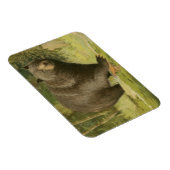 Magnet Flexible Ours noir sur un tronc d'arbre (Côté Droit)