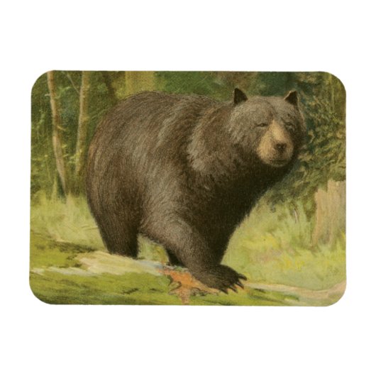 Magnet Flexible Ours noir sur un tronc d'arbre (Horizontal)