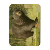 Magnet Flexible Ours noir sur un tronc d'arbre (Vertical)