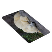 Magnet Flexible Ours polaire dormant (Côté Droit)