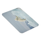 Magnet Flexible Ours polaire en été (Côté Droit)