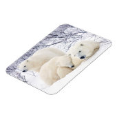 Magnet Flexible Ours polaires femelle et deux petits 3 (Côté Gauche)